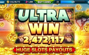 6500 bet app
